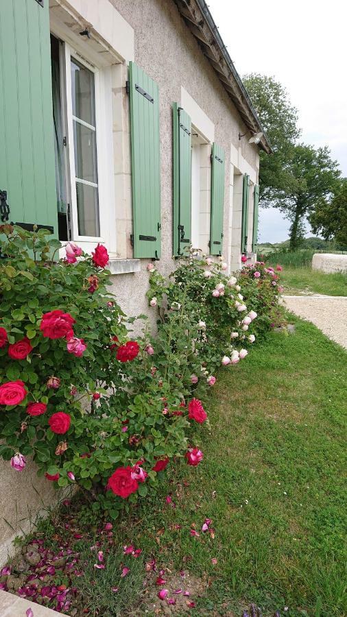 Longere Du Sud Touraine Au Coeur Du Val De Loire Vila Saint-Jean-Saint-Germain Exterior foto